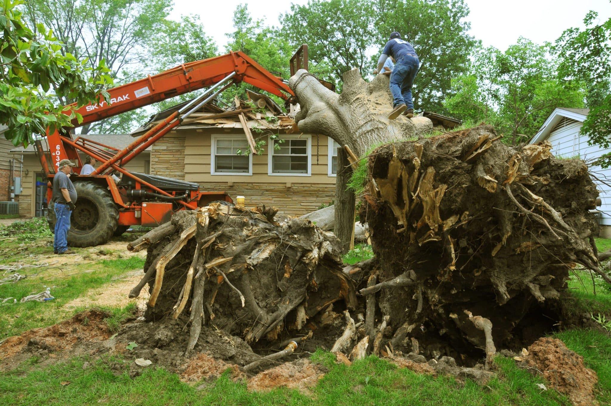 Damaged Tree Removal Method scaled