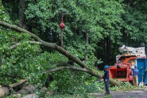 How Does a Stump Grinder Work?