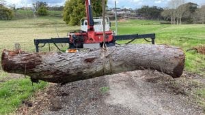 Can Removing a Tree Cause Foundation Problems