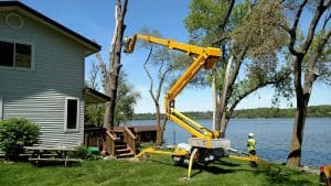 Do Tree Removal Companies Need To Be Licensed?