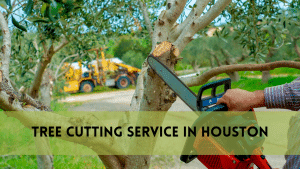 Tree Cutting Service in Houston