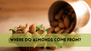 where do almonds come from