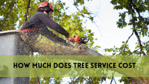 How Much Does Tree Service Cost