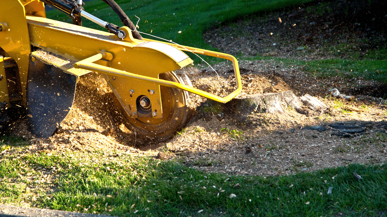 What is Stump Grinding