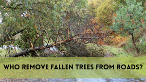 who remove fallen trees from roads