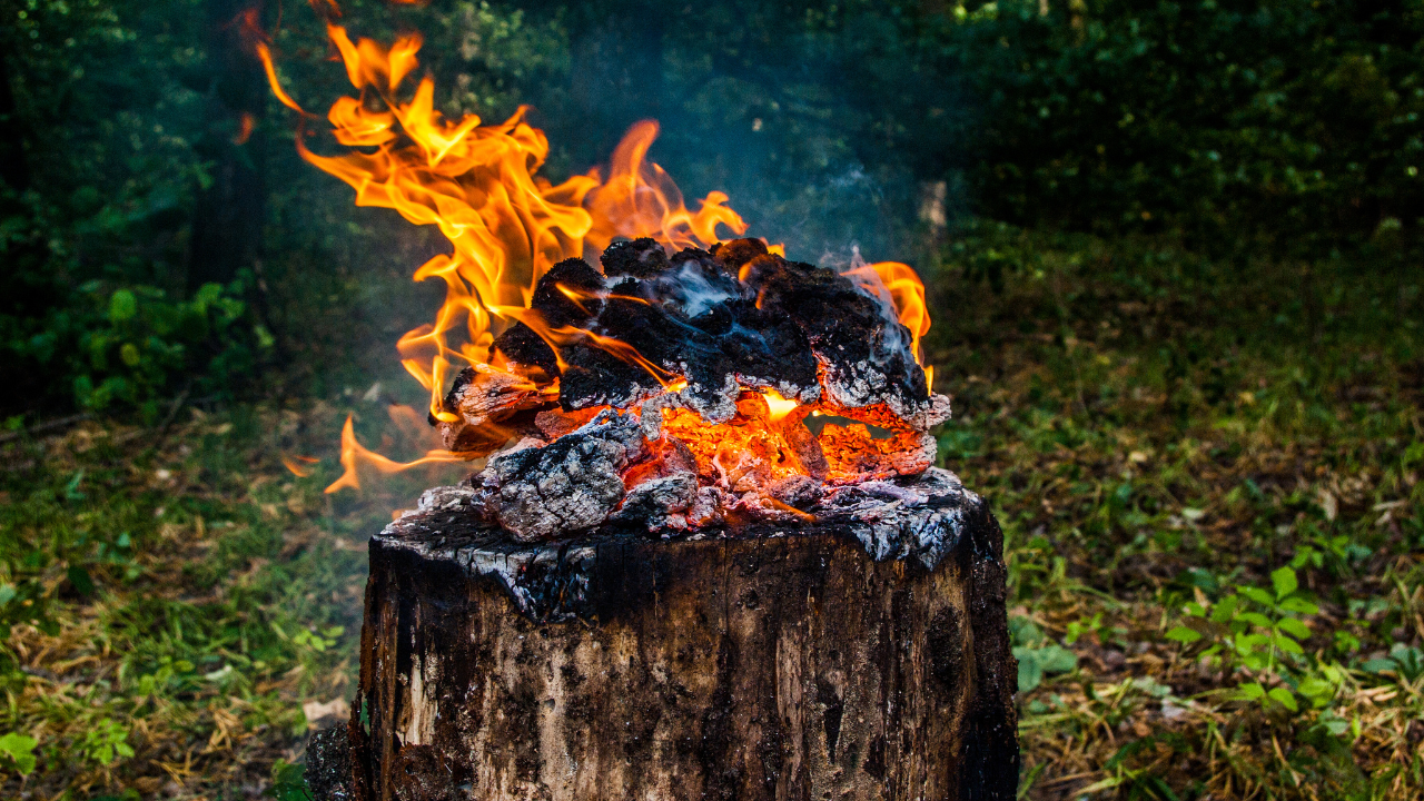  burn out a stump